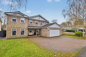 Photo 25- click for photo gallery